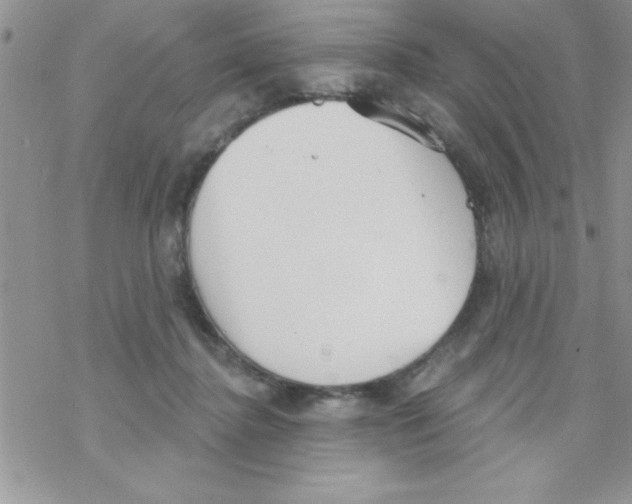 X0000069400364200606091747