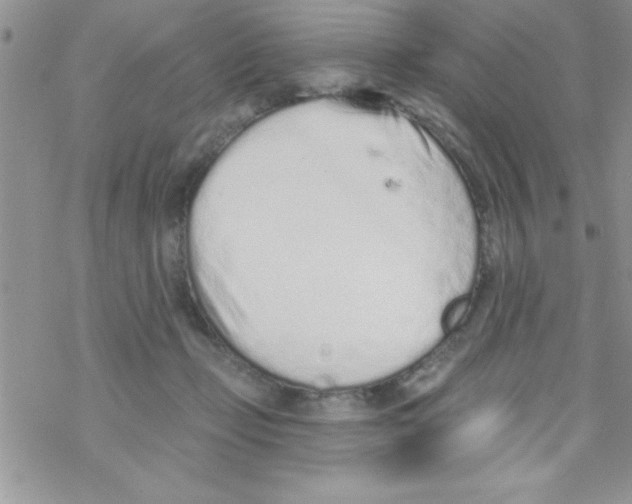 X0000069400365200606091747