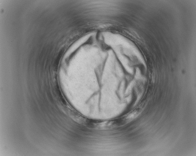 X0000069400366200606091747