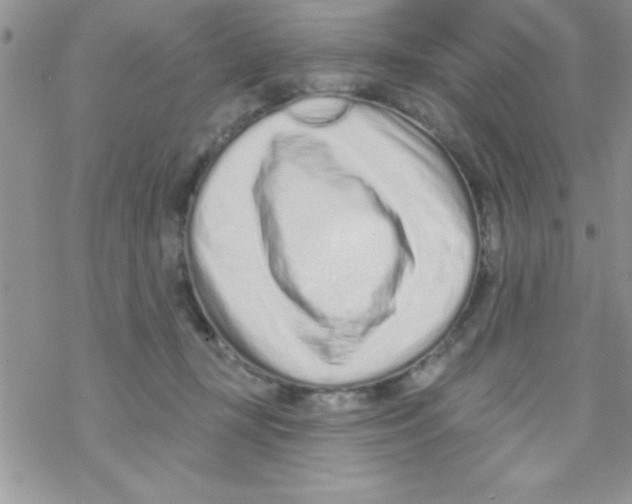 X0000069400367200606091747