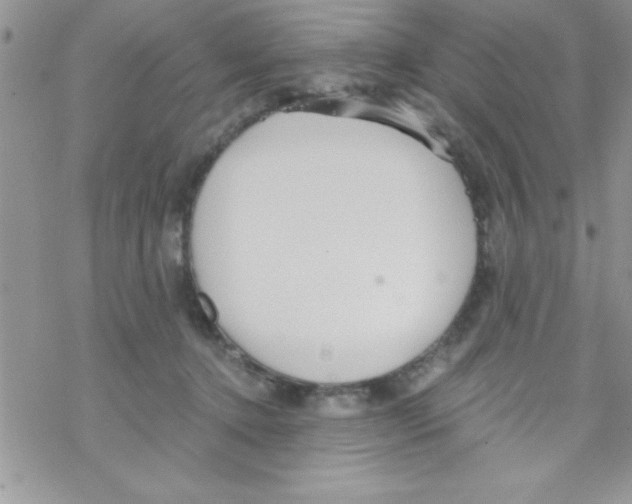 X0000069400368200606091747