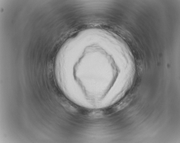 X0000069400369200606091747