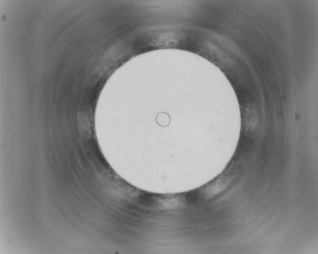 X0000069400370200606091747