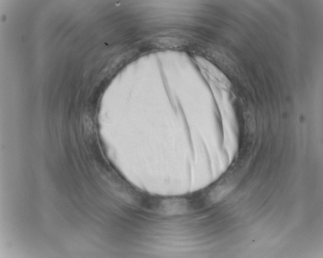 X0000069400371200606091747