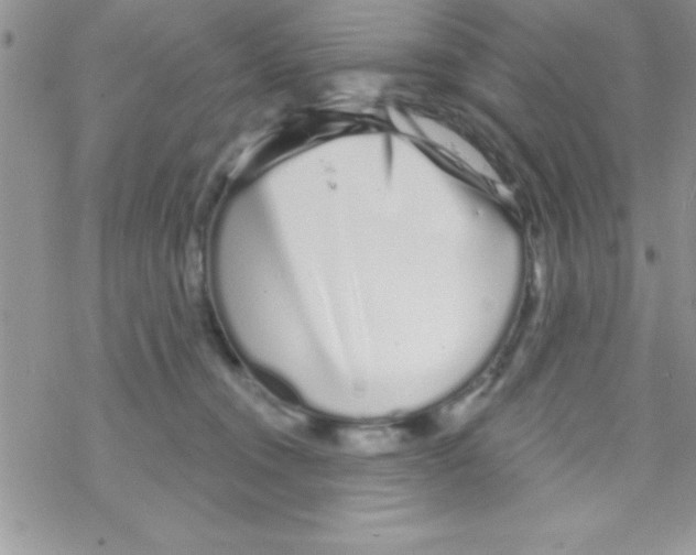 X0000069400372200606091747