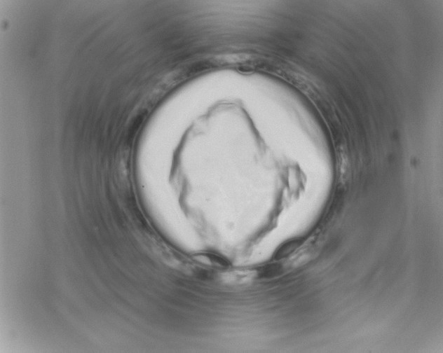 X0000069400373200606091747