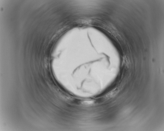 X0000069400374200606091747