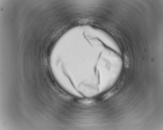 X0000069400375200606091747