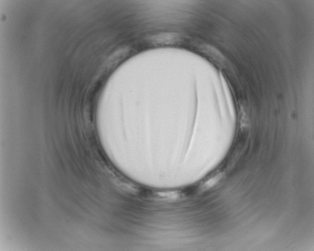 X0000069400377200606091747