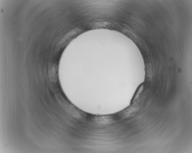 X0000069400378200606091747