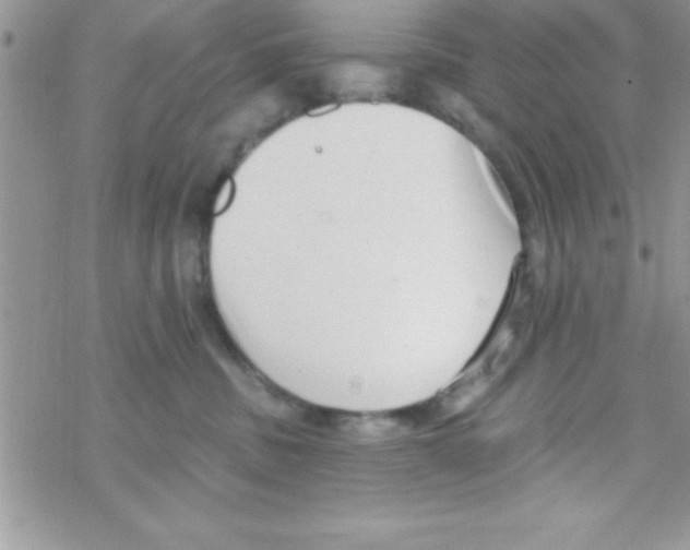 X0000069400379200606091748