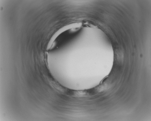 X0000069400380200606091748