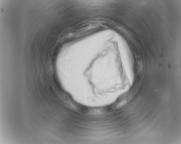 X0000069400381200606091748