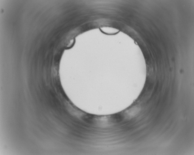 X0000069400382200606091748