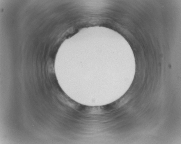 X0000069400384200606091748