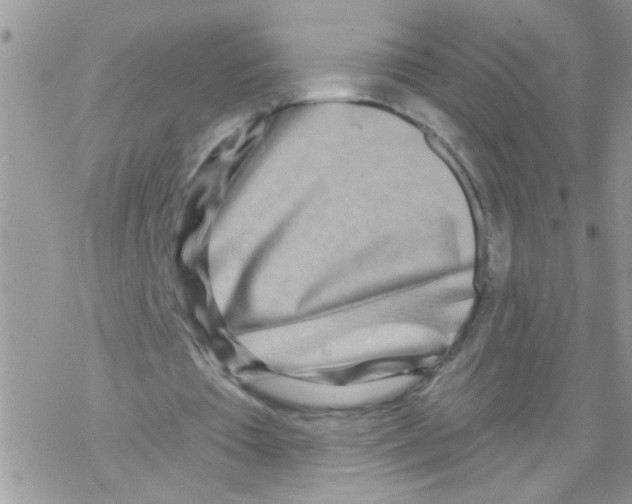 X0000069400385200606091747