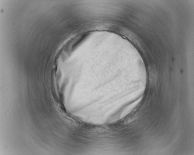 X0000069400386200606091747