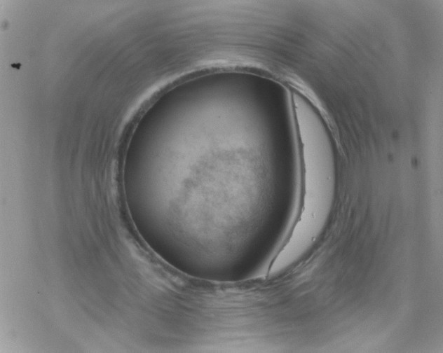 X0000069400387200606091747