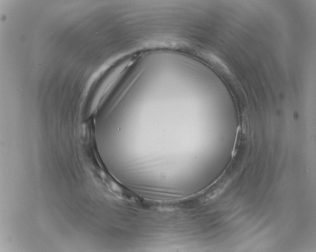 X0000069400388200606091747