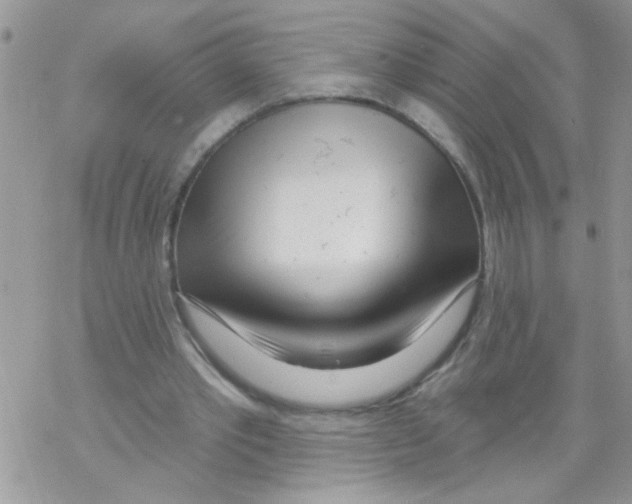 X0000069400389200606091747