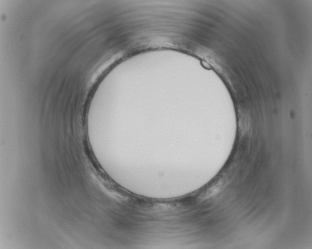 X0000069400390200606091747