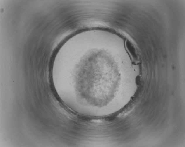 X0000069400391200606091747