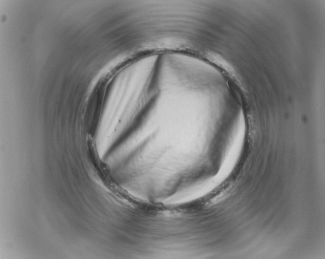 X0000069400392200606091747