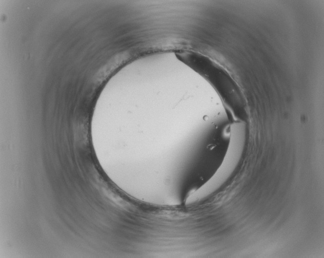 X0000069400393200606091747