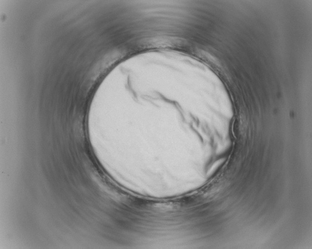 X0000069400394200606091747