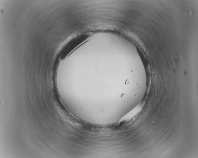 X0000069400395200606091747