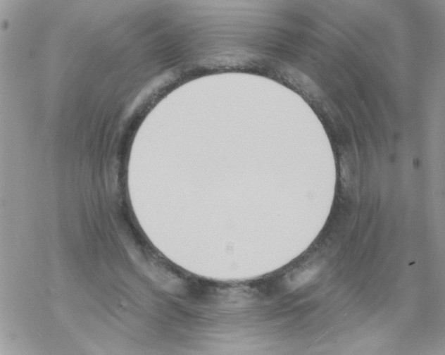 X0000069400396200606091747