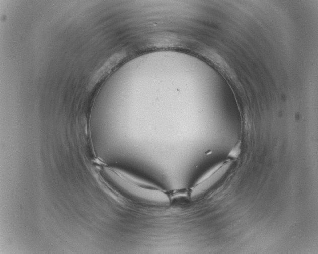 X0000069400397200606091747