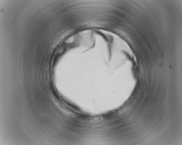 X0000069400398200606091747