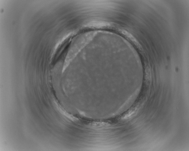 X0000069400399200606091747