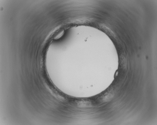 X0000069400400200606091747