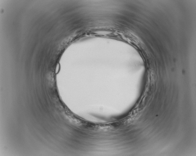 X0000069400401200606091747