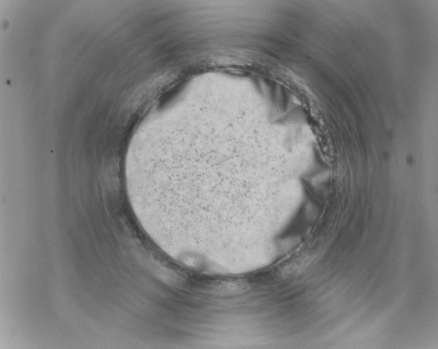 X0000069400402200606091746