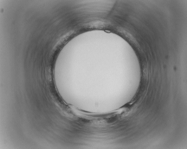 X0000069400403200606091746