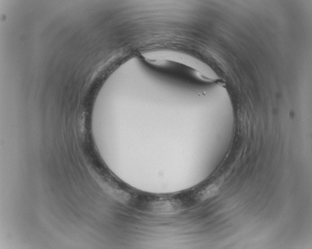 X0000069400404200606091746