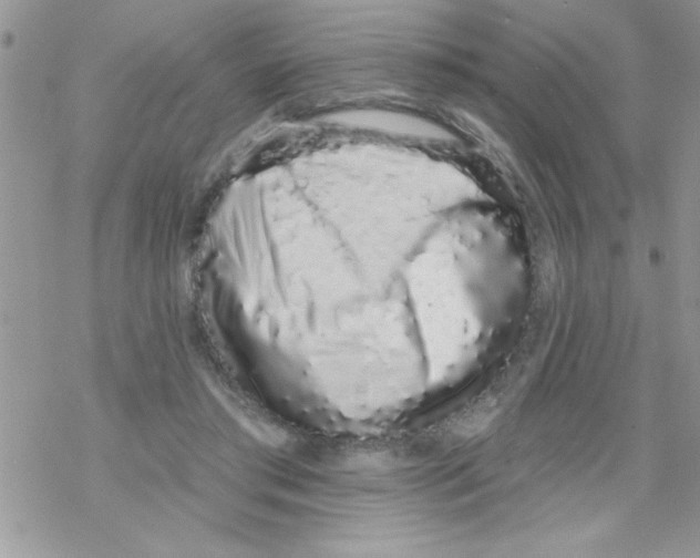 X0000069400405200606091746