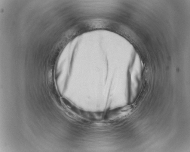 X0000069400406200606091746