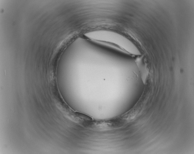 X0000069400407200606091746