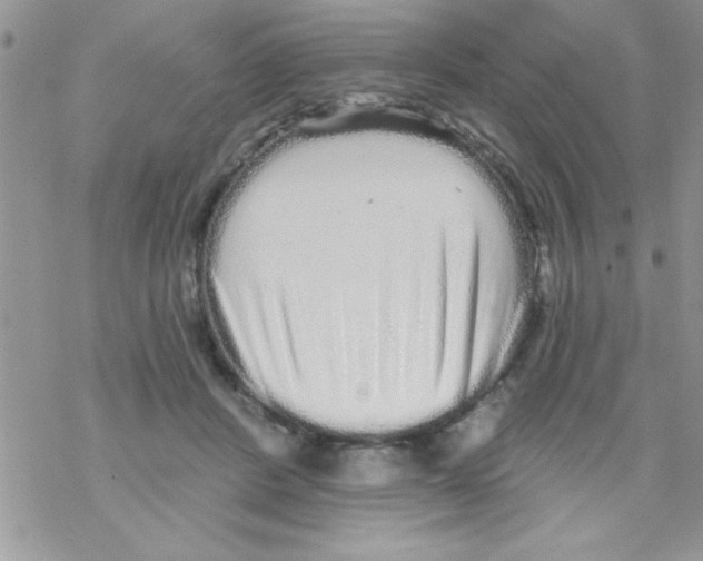 X0000069400408200606091746