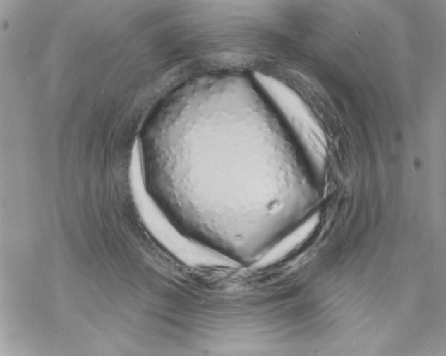 X0000069400409200606091746