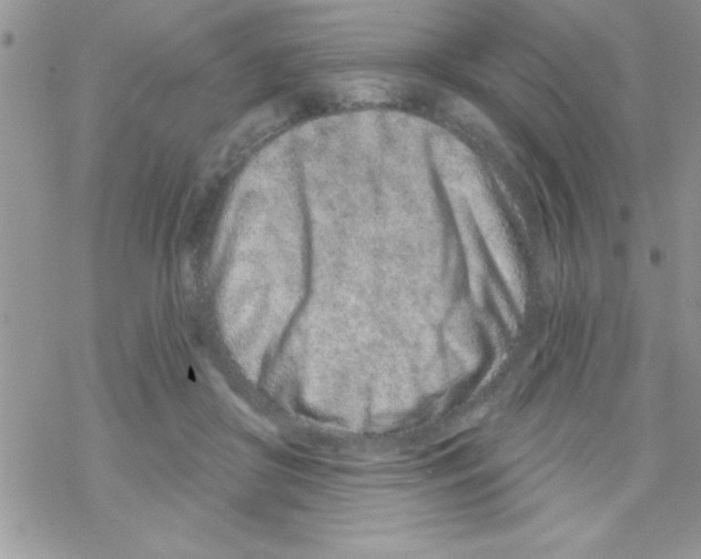 X0000069400410200606091746