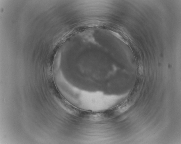 X0000069400411200606091746