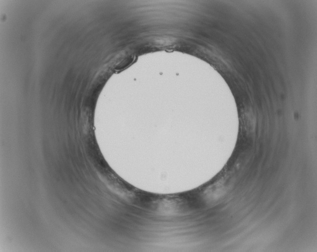 X0000069400412200606091746