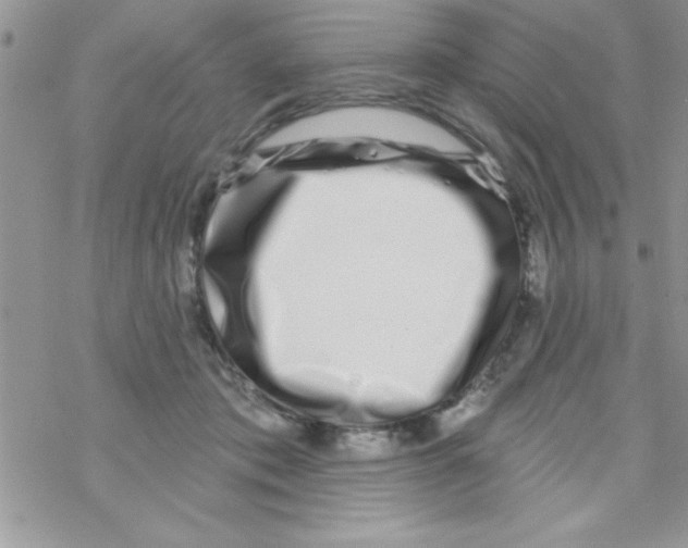 X0000069400413200606091746