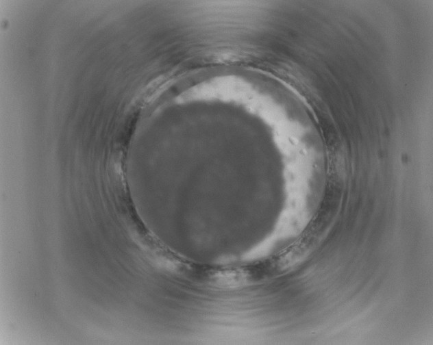 X0000069400415200606091746