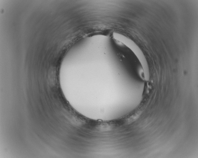 X0000069400416200606091746